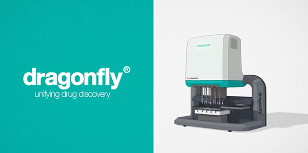 【ノブタ】dragonfly  generix トリケラトプス ネギから1年記念 デカくなるもんだw ここから